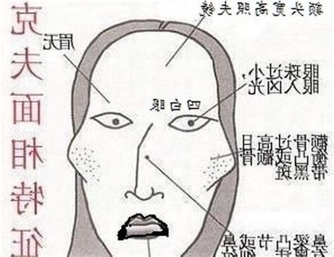 鷹勾鼻 面相